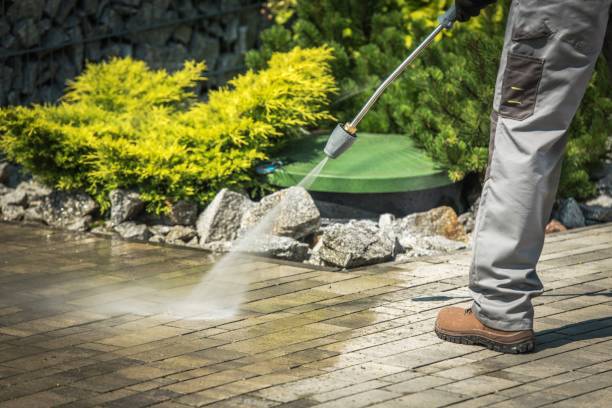 Animal Enclosure Cleaning in El Cajon, CA